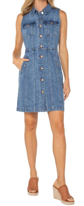 Trucker Denim Dress