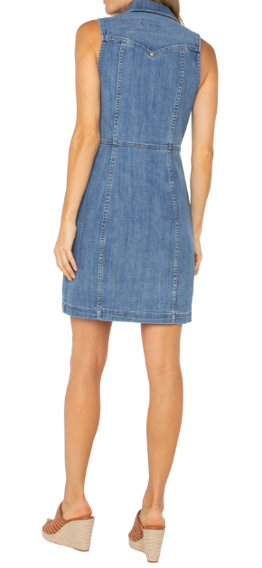 Trucker Denim Dress