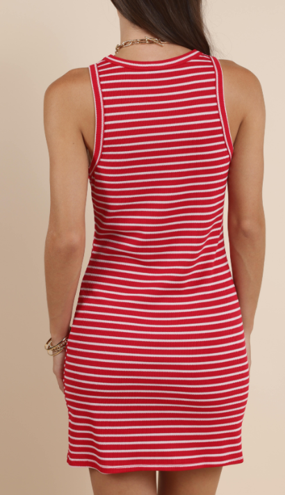 Red Striped Mini Dress