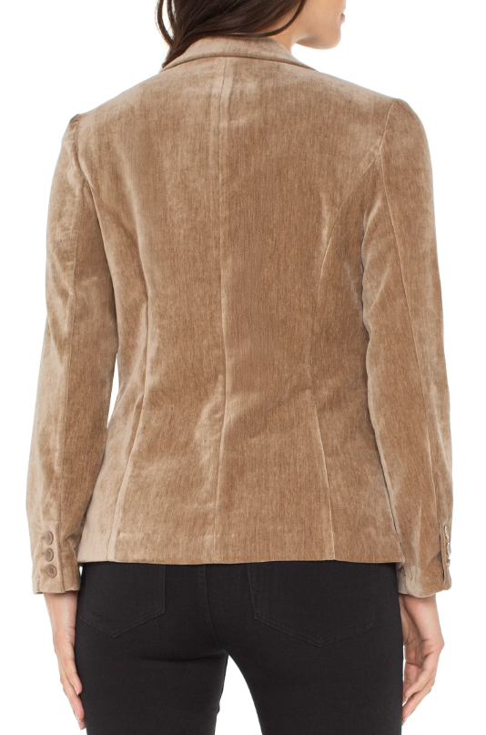 Fitted Velvet Blazer