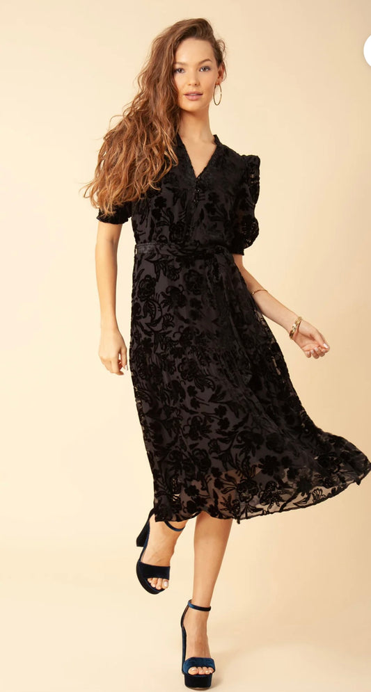 Hale Bob Kimbra Floral Velvet Dress