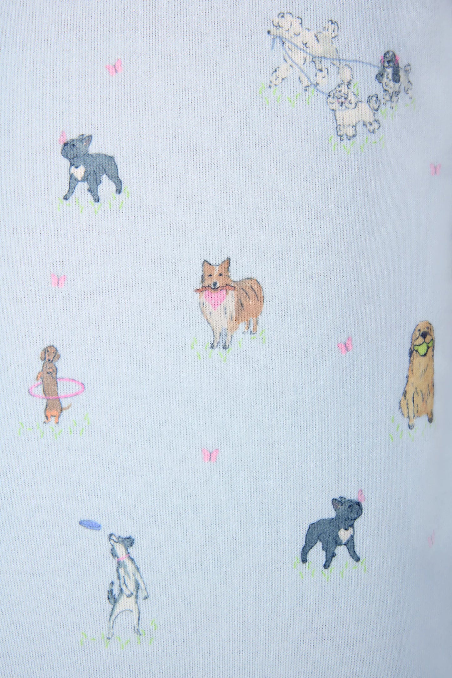 Bark Park Tank