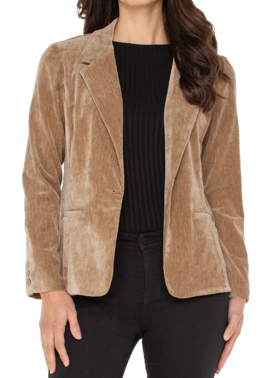 Fitted Velvet Blazer