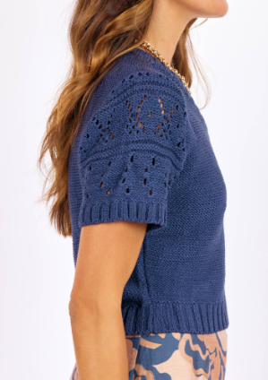 Janice Short Sleeve Navy Sweater